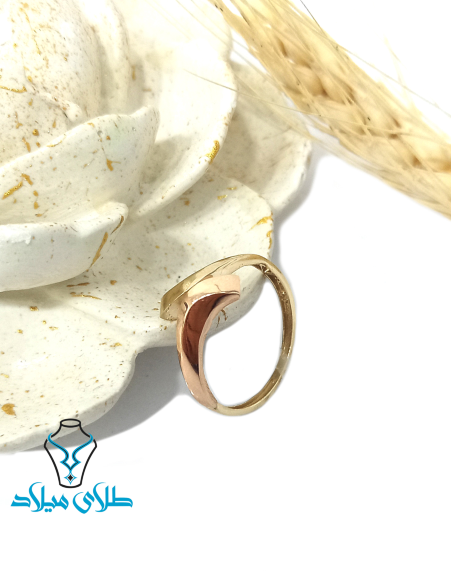 تصویر اصلی محصول