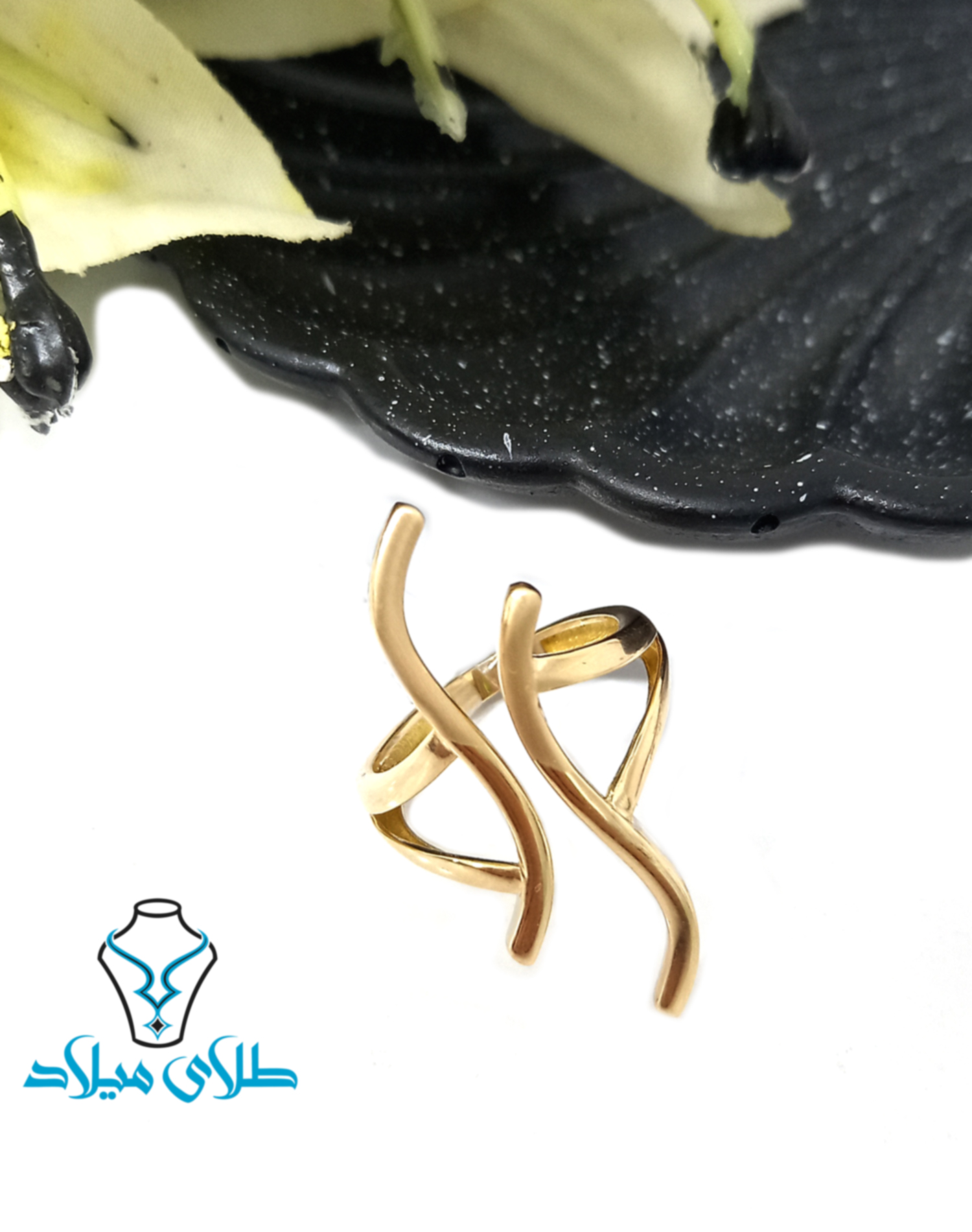تصویر محصول ۲