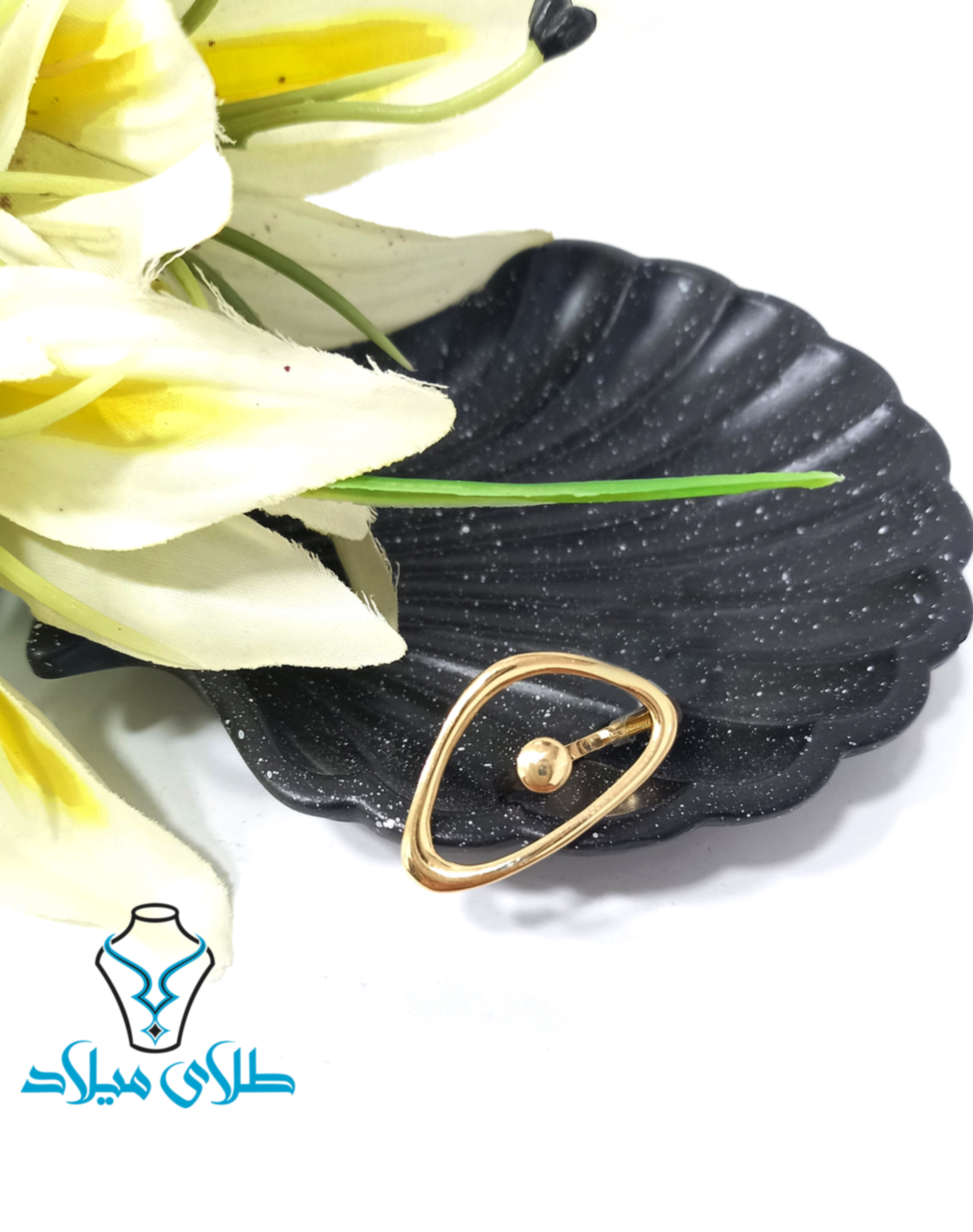 تصویر اصلی محصول