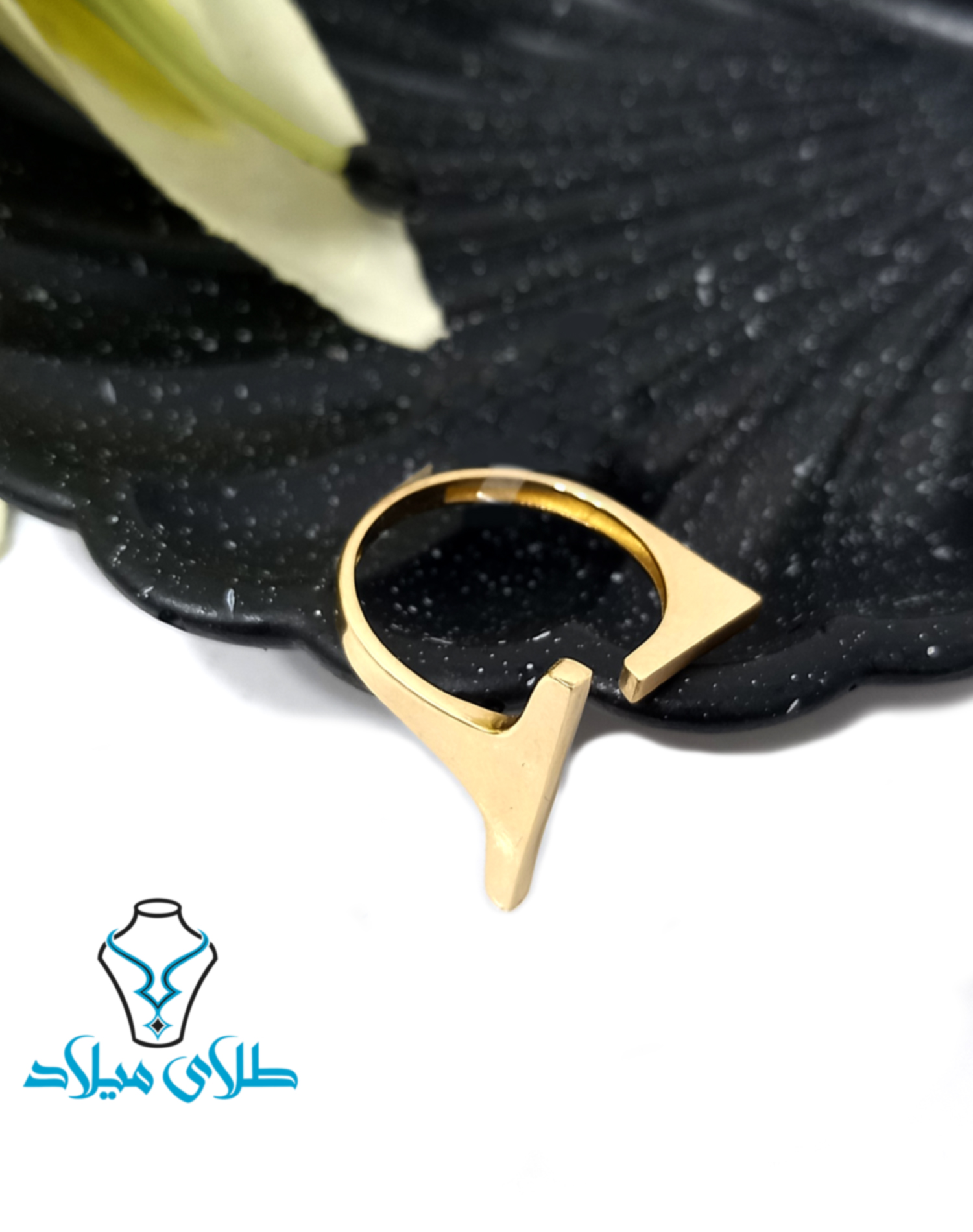 تصویر محصول ۴