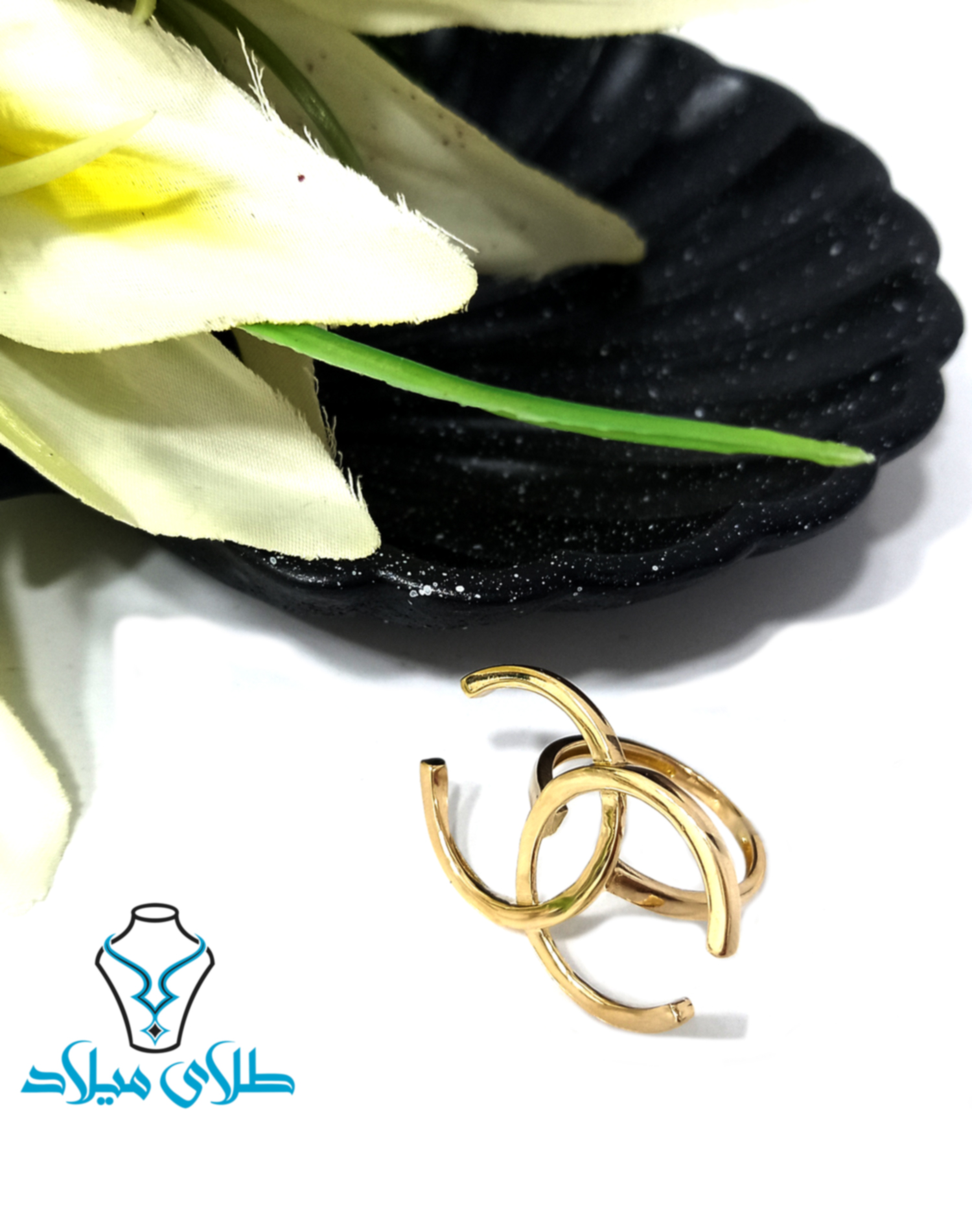 تصویر محصول ۲