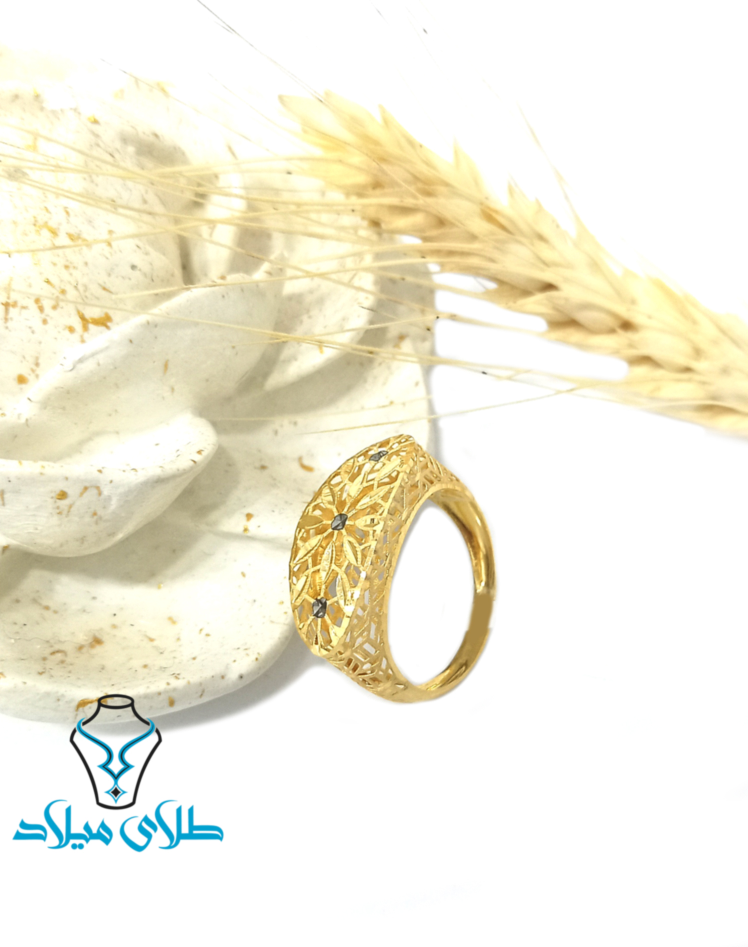 تصویر اصلی محصول