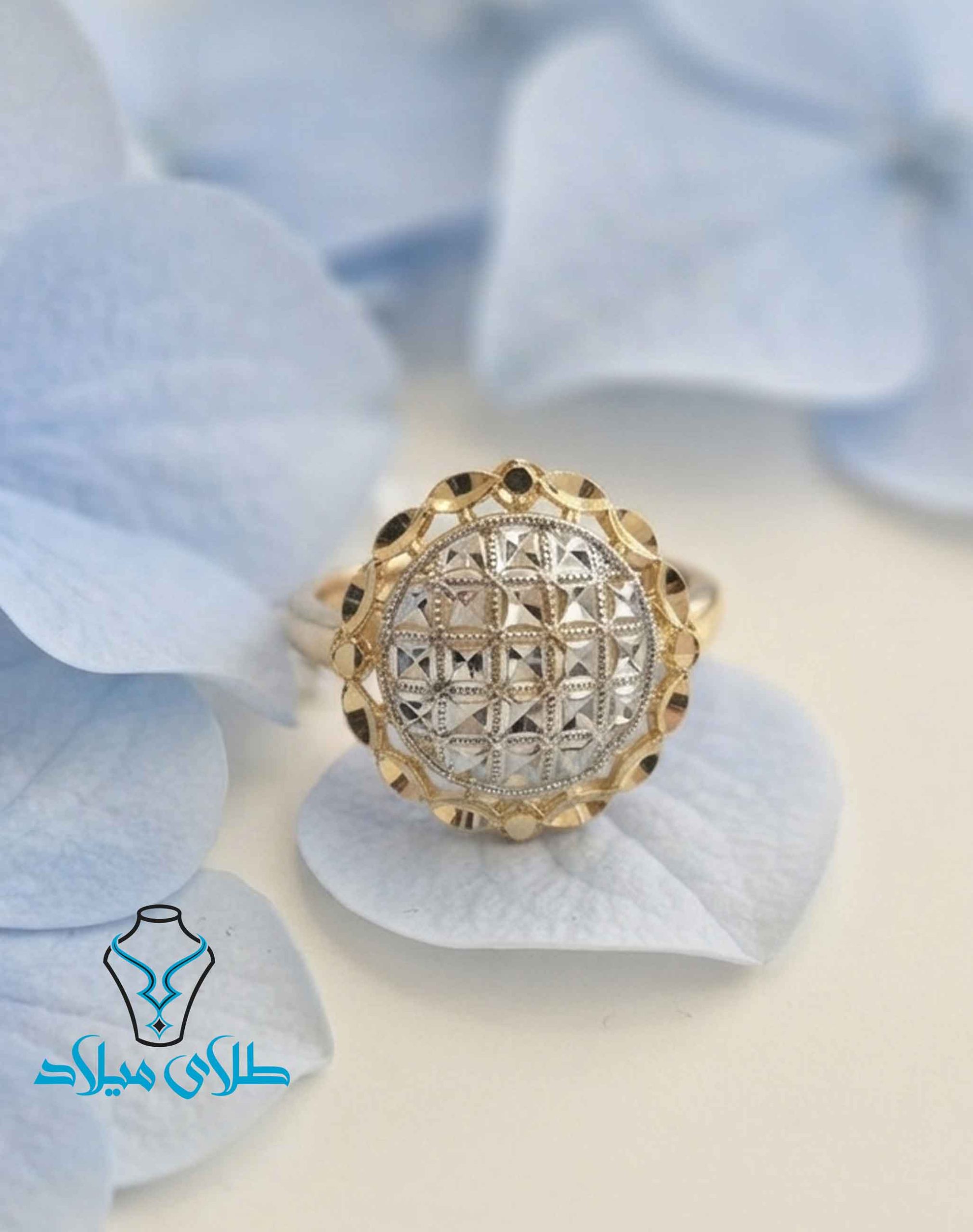 تصویر محصول ۴