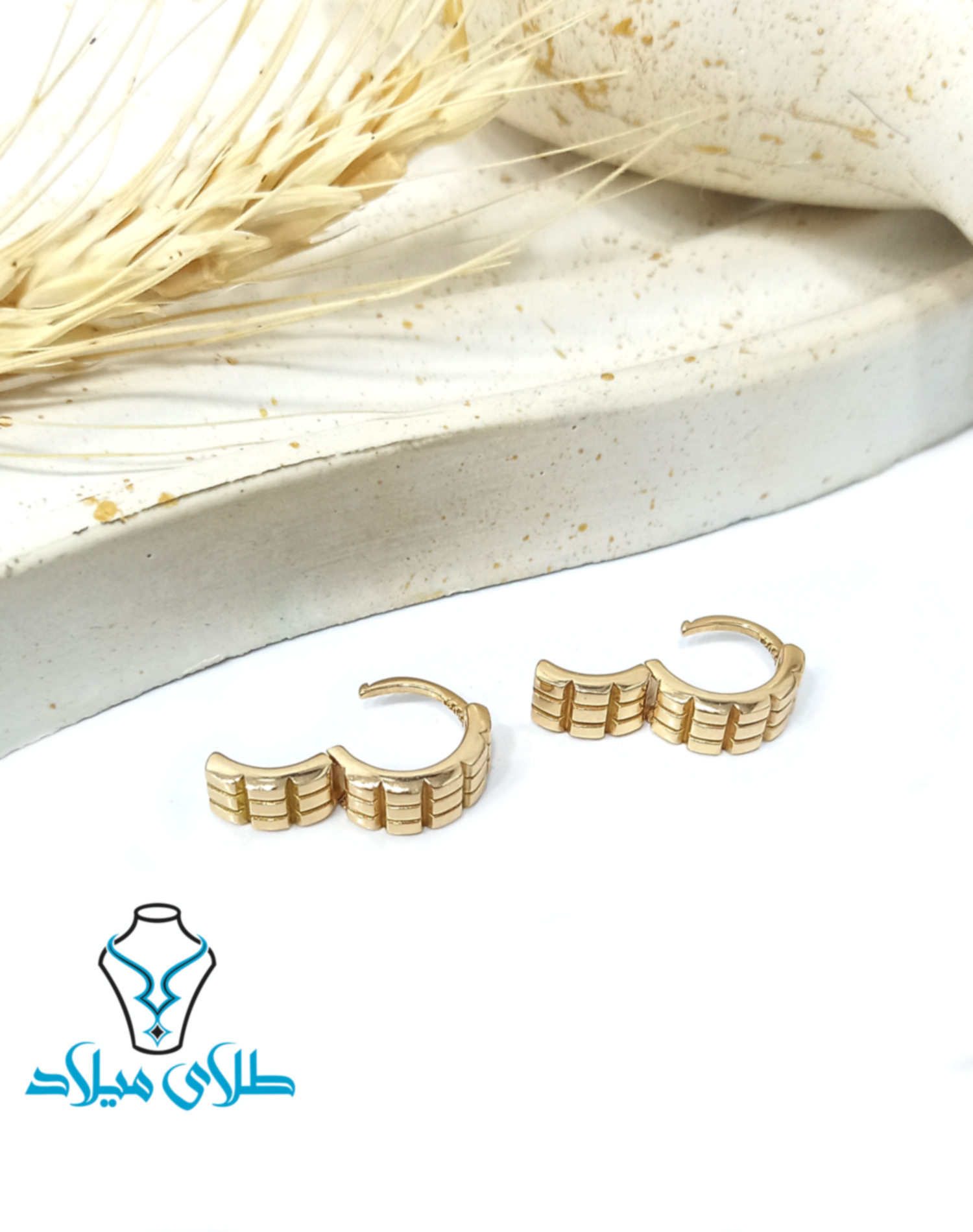 گوشواره حلقه ای بهشید · گوشواره حلقه‌ ای