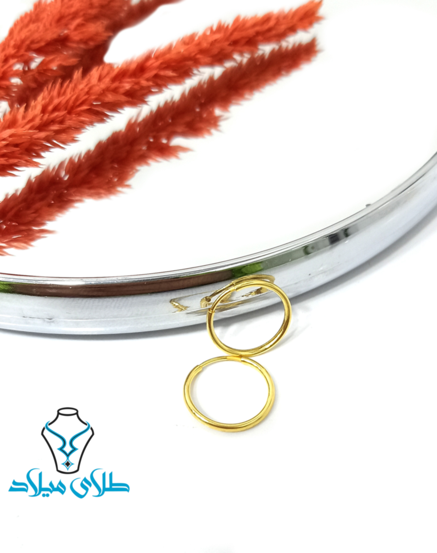 گوشواره حلقه ای زینا · گوشواره حلقه‌ ای