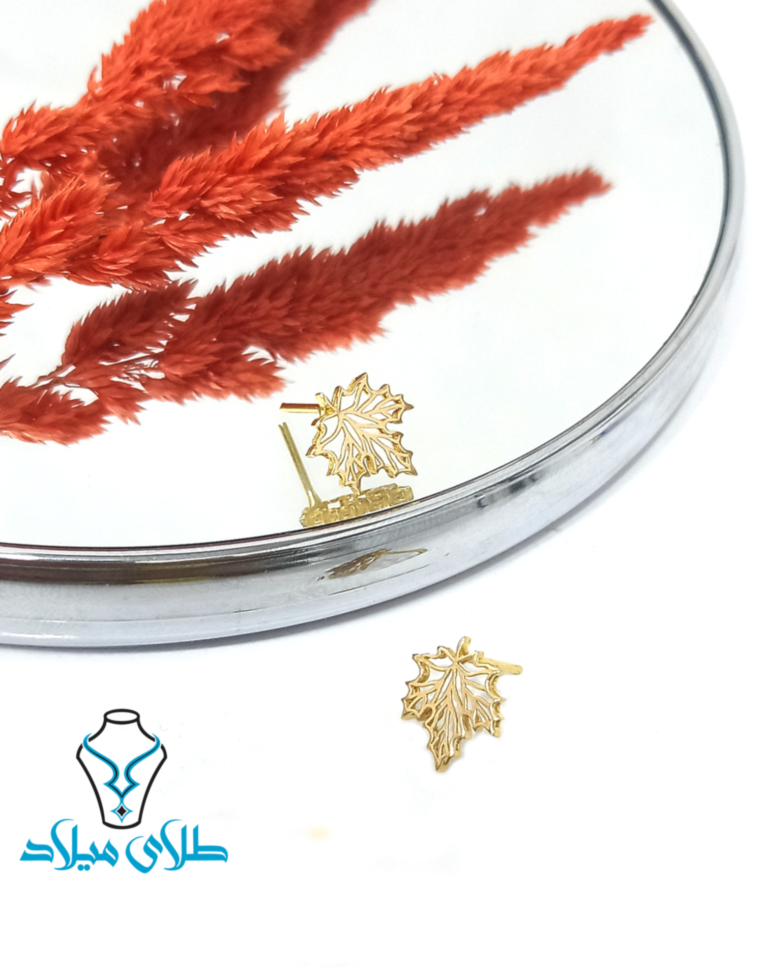گوشواره میخی الین · گوشواره میخی