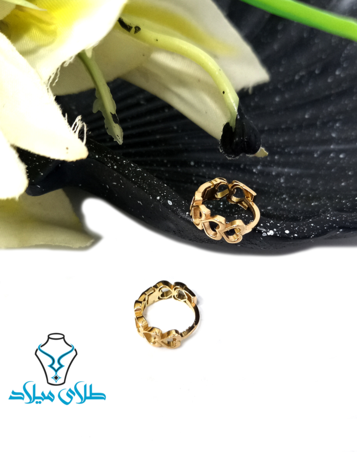 گوشواره حلقه ای ایریس · گوشواره حلقه‌ ای