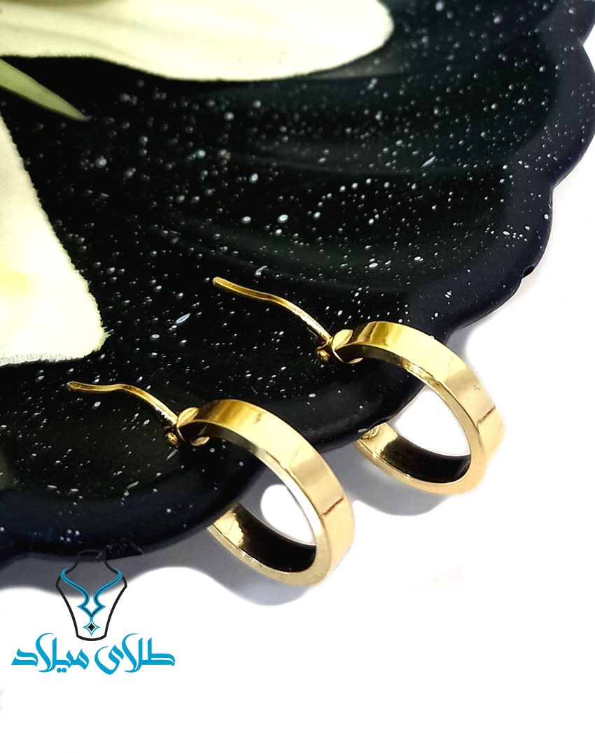 گوشواره حلقه ای کارلی · گوشواره حلقه‌ ای