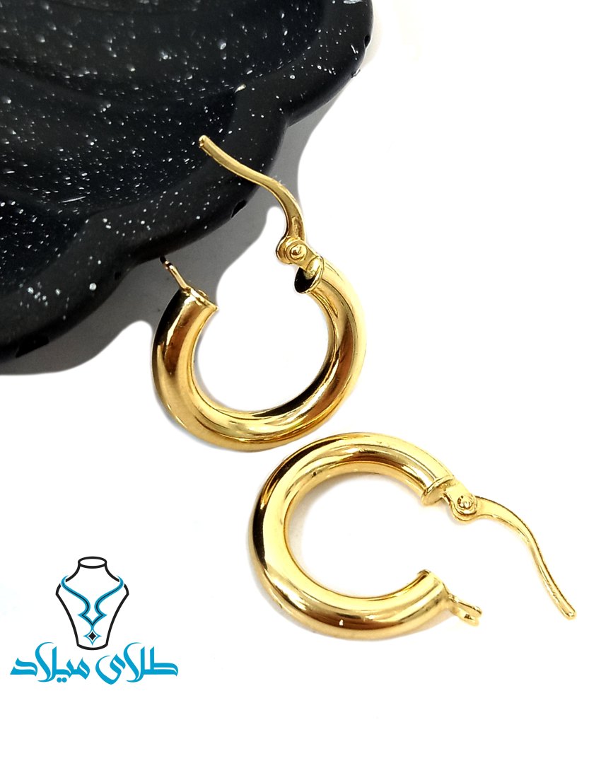 گوشواره حلقه ای سانیل · گوشواره حلقه‌ ای
