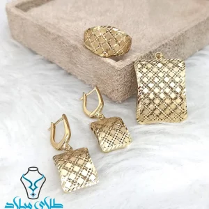 سرویس توری پانیذ