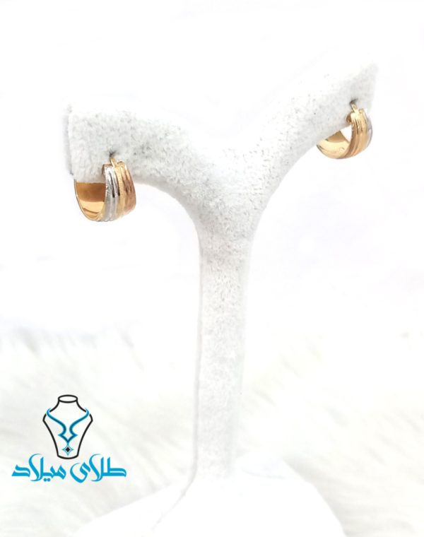 گوشواره حلقه ای پروا - Image 3