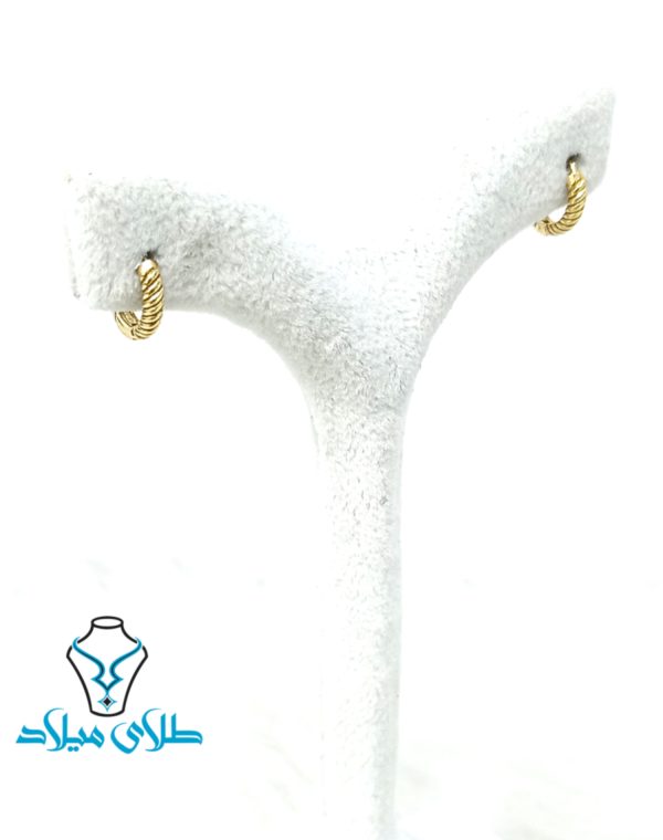 گوشواره حلقه ای ایلیا