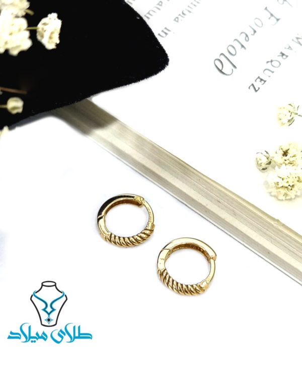 گوشواره حلقه ای ایلیا - Image 2