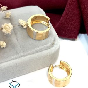 خرید گوشواره حلقه ای کد2