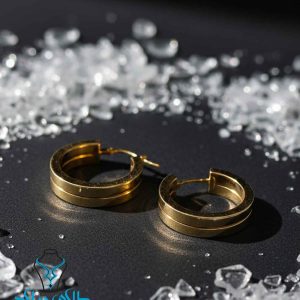 گوشواره حلقه ای کد35