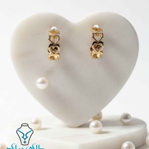 گوشواره حلقه ای کد39