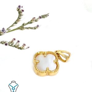 پلاک ونکلیف کد14